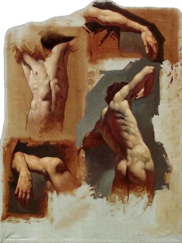 Muscle Group Dynamics
